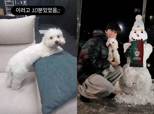 /사진=임영웅 개인계정