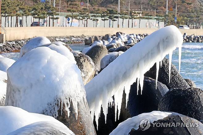 테트라포드에 나타난 고드름 (포항=연합뉴스) 손대성 기자 = 추위가 절정을 보인 지난달 22일 오전 경북 포항시 북구 두호동 바닷가 콘크리트 블록에 바닷물이 얼어붙어 있다. 2026.1.22 sds123@yna.co.kr