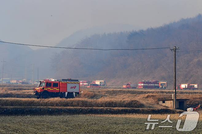 8일 오전 경북 경주시 문무대왕면 입천리에서 발생한 산불이 강풍을 타고 확산하는 가운데 소방·산림당국이 진화에 총력전을 펴고 있다. 2026.2.8 ⓒ 뉴스1 최창호 기자