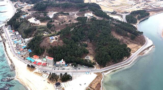 오션리조트 건립 예정부지. /울진군