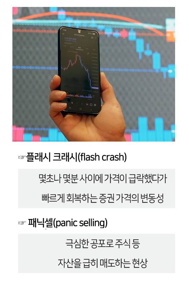 [사진 | 뉴시스]