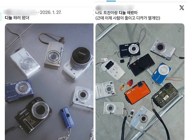 '디놀'에 빠진 누리꾼들의 글 [엑스 앱 캡처. 재판매 및 DB 금지]