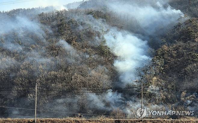 연기에 휩싸인 숲 (경주=연합뉴스) 손대성 기자 = 8일 오후 경북 경주시 문무대왕면의 한 야산이 산불 연기에 휩싸여 있다. 전날 문무대왕면 입천리에서 발생한 산불은 이날까지 이어지고 있다. 2026.2.8 sds123@yna.co.kr