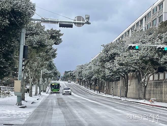 8일 오전 제주시내 거리. ⓒ헤드라인제주