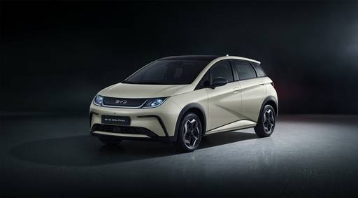 BYD코리아 BYD 돌핀.