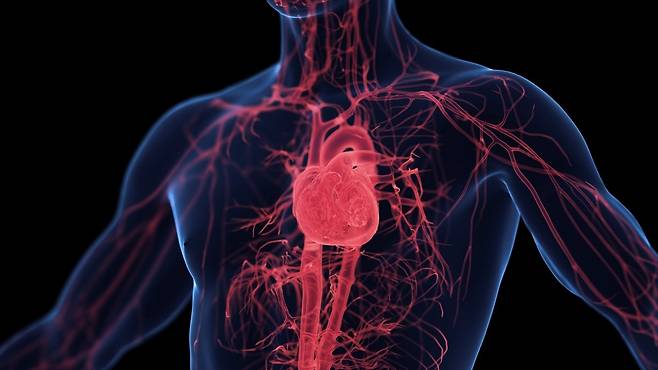 혈행 문제는 만성피로, 기억력 감퇴는 물론 심혈관 질환의 전조증상일 수 있다 | 출처: 클립아트코리아