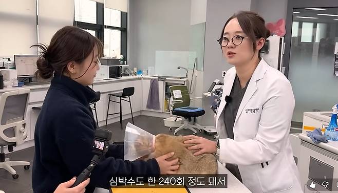 박설기 인천 스카이동물메디컬센터 원장이 꿀밤이의 신체검사를 진행하고 있다(유튜브 갈무리). ⓒ 뉴스1