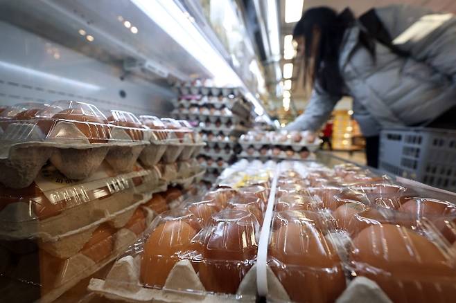 지난달 서울의 한 대형마트 달걀코너에서 한 시민이 달걀을 고르고 있다. /뉴스1