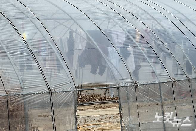 경기도 포천시 가산면의 한 농경지 불법 비닐하우스 숙소에 거주하는 이주노동자들의 개인 빨래가 널린 모습. 김수진 기자