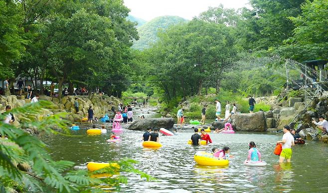 전남 장성 남창계곡. /전남도 제공