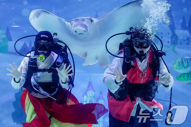 한복을 입은 스쿠버 다이버들이 설 연휴를 앞둔 10일 오전 서울 강남구 씨라이프 코엑스 아쿠아리움에서 새해 인사를 전하고 있다. 2026.2.10 ⓒ 뉴스1 안은나 기자