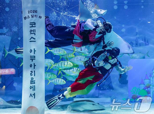 한복을 입은 스쿠버 다이버들이 설 연휴를 앞둔 10일 오전 서울 강남구 씨라이프 코엑스 아쿠아리움에서 새해 인사를 전하고 있다. 2026.2.10 ⓒ 뉴스1 안은나 기자