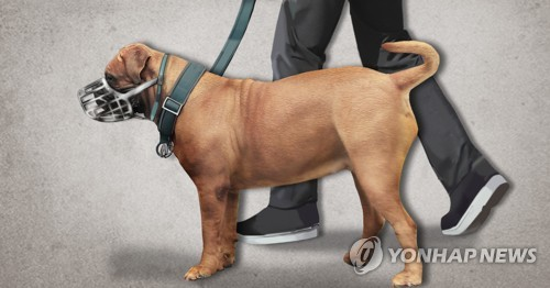 맹견 목줄 입마개 착용 [연합뉴스]