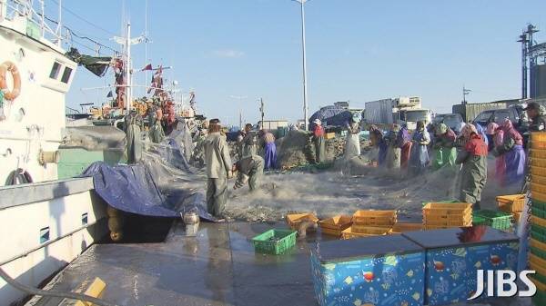 참조기 작업 현장