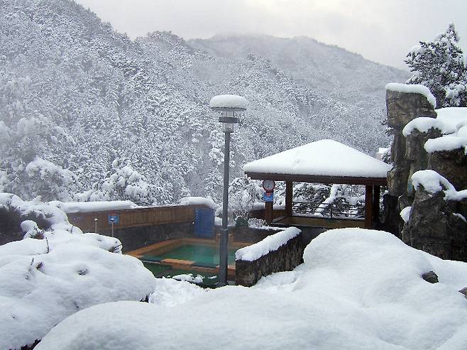 눈 덮인 덕구온천 노천탕. 울진군 제공