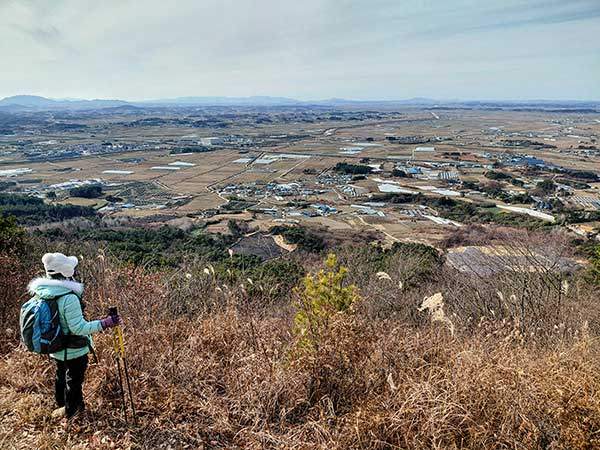 지평선이 보일 정도로 광활한 김제평야.