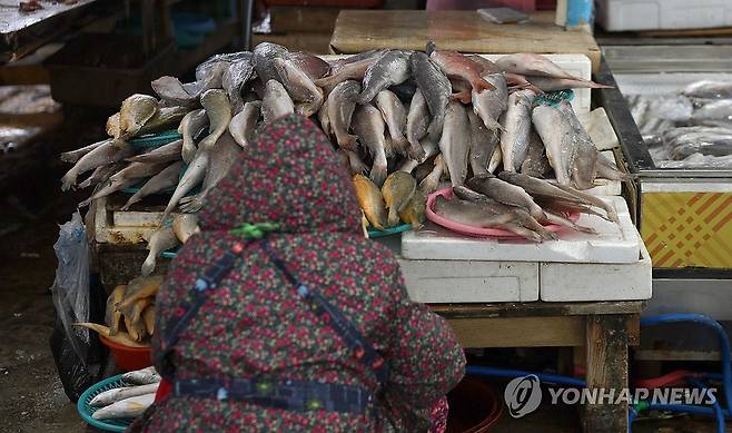 명절 앞둔 마산어시장 (창원=연합뉴스) 김동민 기자 = 설 명절을 앞두고 10일 경남 창원시 마산합포구 마산어시장에서 상인이 생선을 바라보고 있다. 2026.2.10 image@yna.co.kr