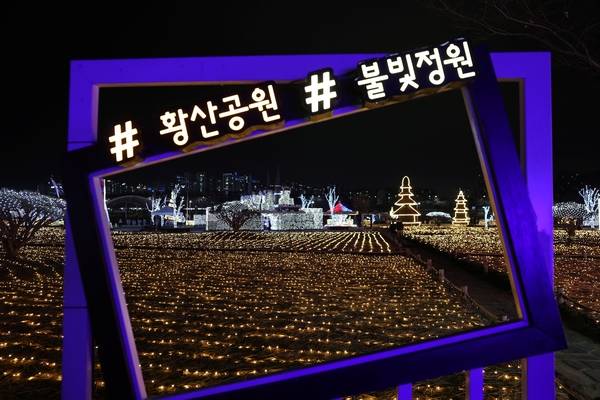 양산시 물금읍 낙동강 둔치에 자리한 231만여㎡ 규모의 황산공원은 1년 내내 축제의 열기로 가득할 전망이다. 불빛정원 전경이다. /양산시 제공