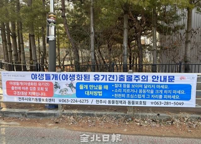 전주시가 설치한 들개 주의 관련 현수막. /전주시