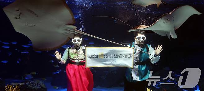 설 명절을 앞둔 11일 경기 수원시 영통구 아쿠아플라넷 광교에서 한복을 입은 아쿠아리스트들이 설 명절 인사를 하고 있다. 2026.2.11 ⓒ 뉴스1 김영운 기자