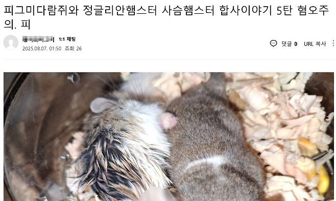 지난 3일 울주경찰서와 울주군청은 햄스터·기니피그 등 소동물을 학대하는 모습을 온랑니 생중계한 남성의 집에서 동물 22마리를 구조했다. 이 남성은 학대 동물이 격리된 뒤에도 ‘이번에는 토끼를 기르겠다’고 적어서 올리는 등 추가 학대를 시사했다. 동물자유연대 제공