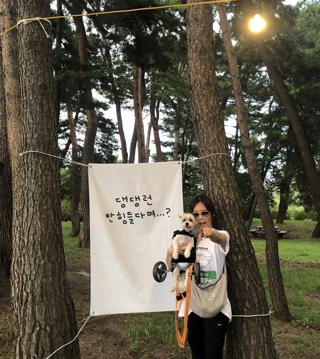 댕댕런 휠체어 타고 완주! 멋있개!? 보호자 제공