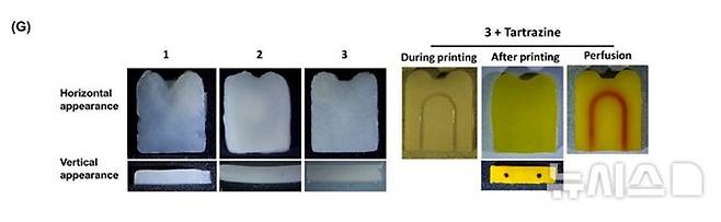 [서울=뉴시스] DbpGMA의 물리적 성질을 분석한 데이터. (사진= 한림대학교의료원 제공)