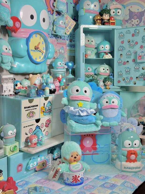 ‘한교동 덕후’ 김 씨가 진열한 수많은 한교동 굿즈들. 독자 제공