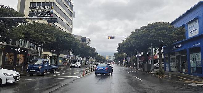 서귀포시 가로수 전경 ⓒ서귀포시 제공