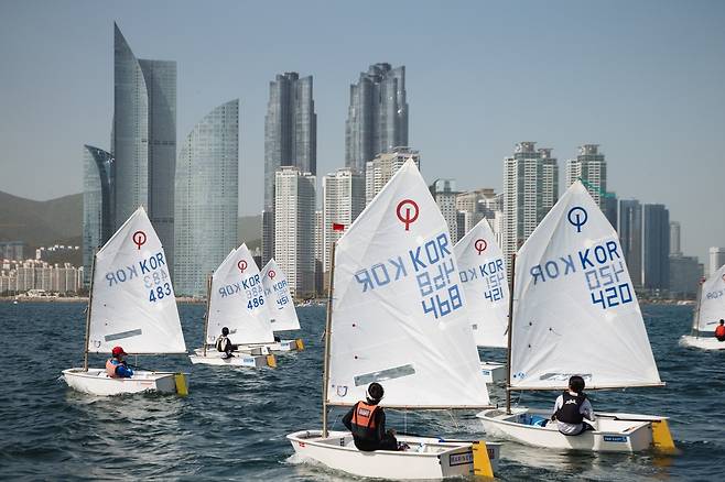 수영만 요트 풍경 [김울프 작가 제공]