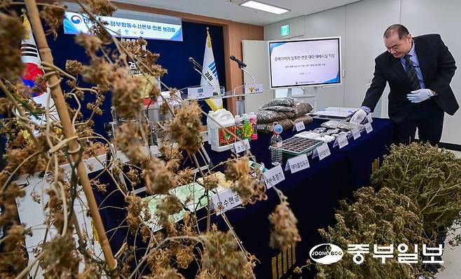 마약범죄 정부합동수사본부가 상가, 빌라 등 주거밀집지역에 전문 대마 재배시설을 갖추고 대량의 대마를 재배해 유통한 일당을 적발해 재판에 넘긴 가운데 12일 오전 수원시 영통구 수원지방검찰청에서 합수본 관계자가 증거품을 정리하고 있다. 임채운기자