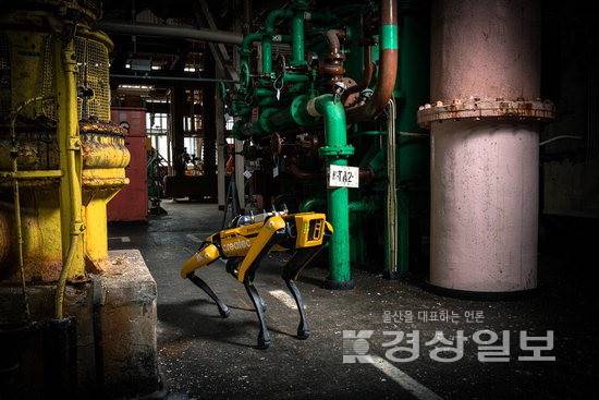 ▲ 현대자동차그룹 로봇 전문 계열사 보스턴다이나믹스의 4족 보행 로봇 '스팟'(Spot)이 셀라필드 현장을 순찰하는 모습. 셀라필드 제공