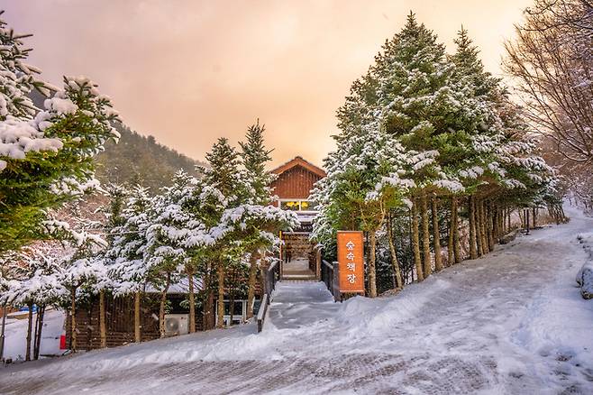 ▲ 국립자생식물원