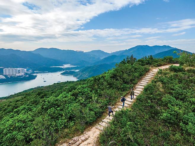 홍콩의 대표 트레일 러닝 명소로 꼽히는 '드래곤스 백' [제공=홍콩관광청]