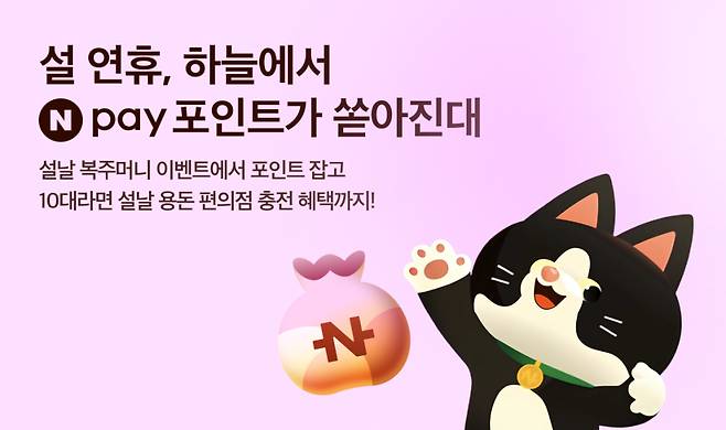 [이미지=네이버페이]