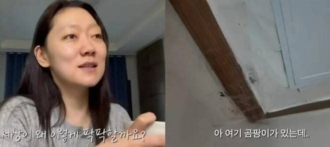 배우 박경혜가 현실적인 자취 생활을 공개해 화제다. 사진=유튜브 채널 '경혜볼래'