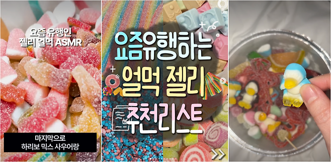 /사진=인스타그램·X 캡처