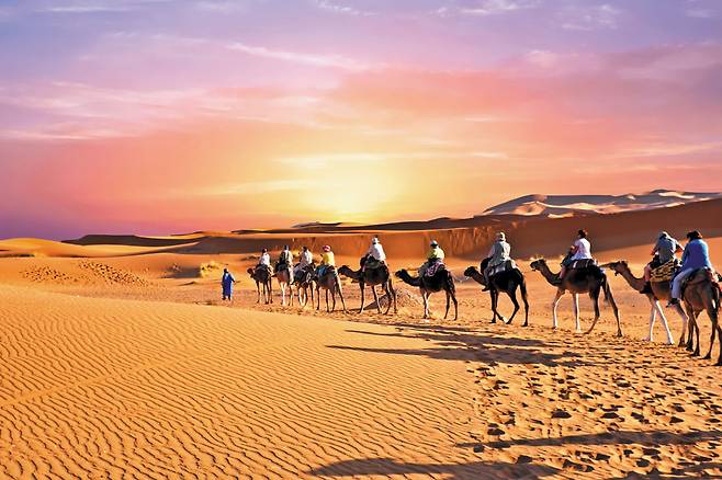 끝없이 펼쳐진 사하라 사막. 낙타를 탄 여행객들이 이동하고 있다. /비타투어 제공