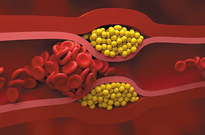 /클립아트코리아