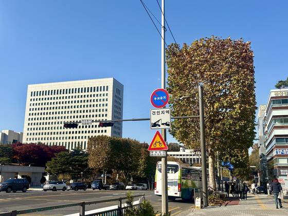 A roadside tree near the Supreme Court in Seocho District, southern Seoul, is pruned into a rectangular shape on Nov. 18. [LEE AH-MI]