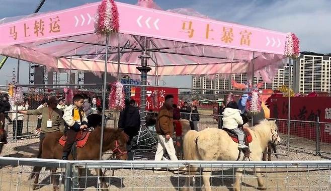 중국의 한 관광지에서 회전목마 놀이기구에 살아있는 말을 투입해 동물 학대 논란이 일자 운영을 중단했다. /사진=더우인 영상 갈무리