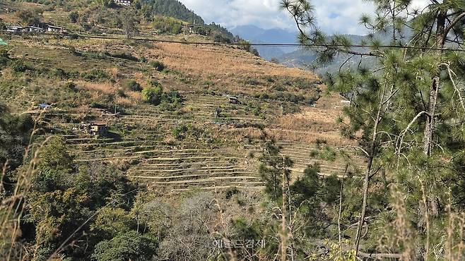 치미라캉 사원 가는 길의 다랭이논
