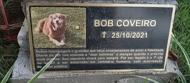 10년간 주인의 묘를 지키다 공원묘지에서 죽은 충견 보브 코베이의 묘. 클라린 제공