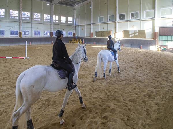 ‘양평 골든쌔들 승마클럽’/경기도 제공