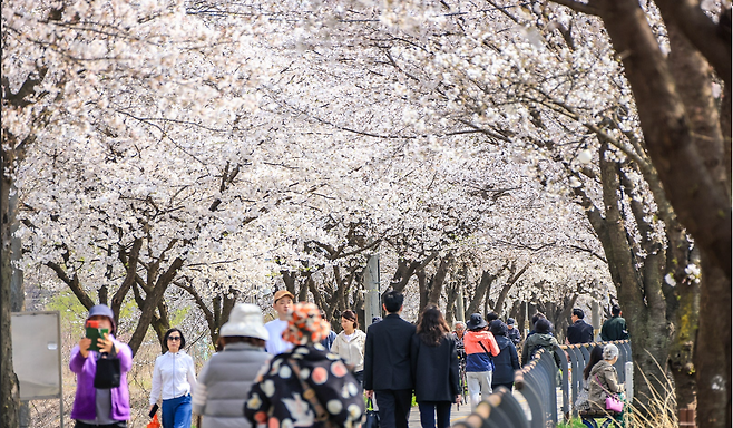 양평생활체육공원. 사진=양평군