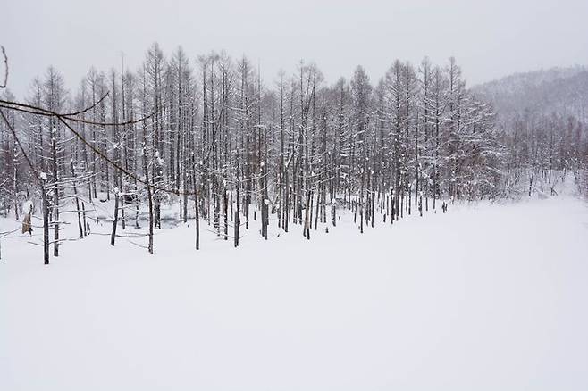 일본 홋카이도 히가시카와초 아사히다케에서 한국인 남성 A씨(24)는 스노보드를 타다 길을 잃어 조난됐다. 홋카이도 설산 전경. 기사의 설명을 돕기 위한 자료. 게티이미지