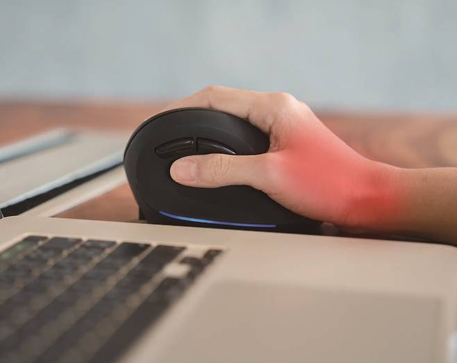 / 사진 셔터스톡