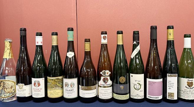 모젤와인 토크 콘서트에 등장한 다양한 모젤와인. 박미향 기자