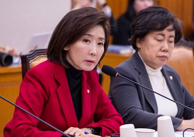 국민의힘 나경원 의원이 13일 국회에서 열린 법제사법위원회 법안심사제1소위원회 3차 상법 개정안 공청회에 참석해 의사 진행 발언을 하고 있다. 연합뉴스