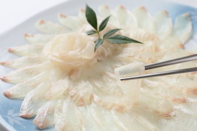 회.[게티이미지뱅크]